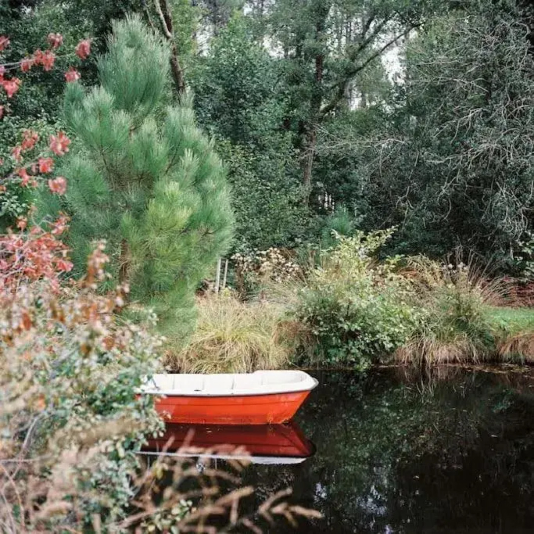 Maison bois au coeur de la nature. 2ha de terrain. Etangs