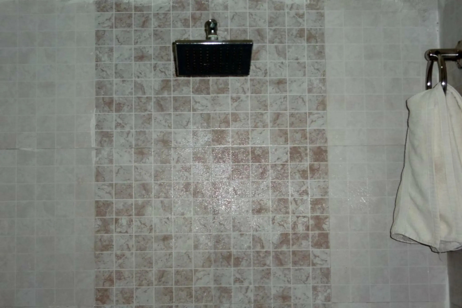 Hotel Parvati Palace