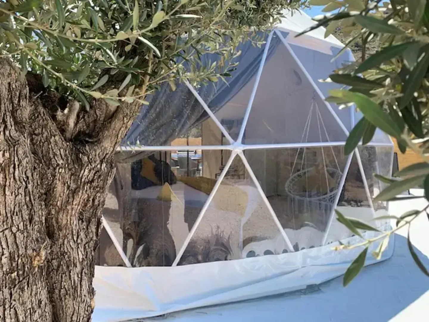 Gorgeous Geodesic Dome Next to Kopria Beach