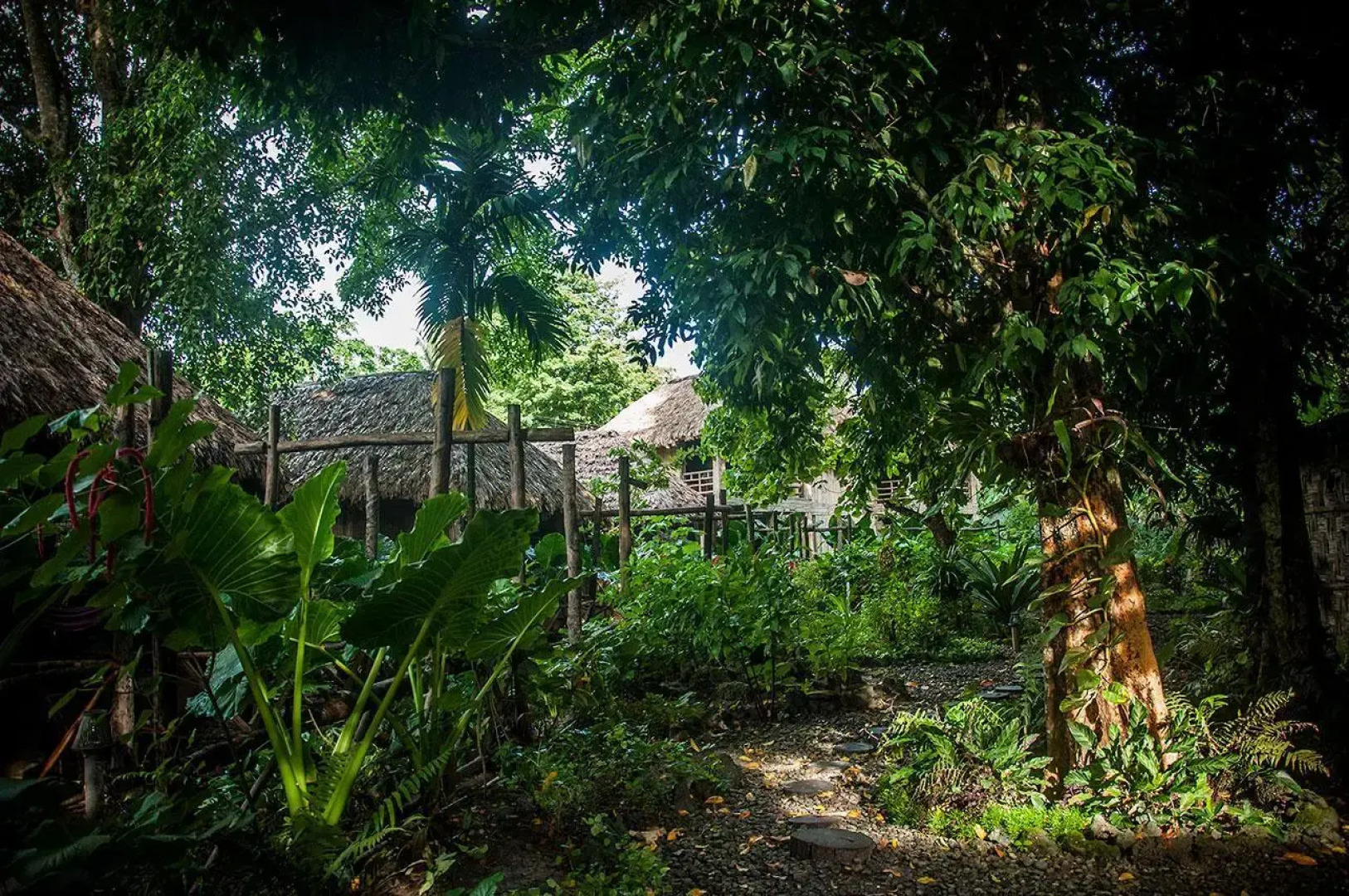 Wild Orchid Resort - Havelock Island