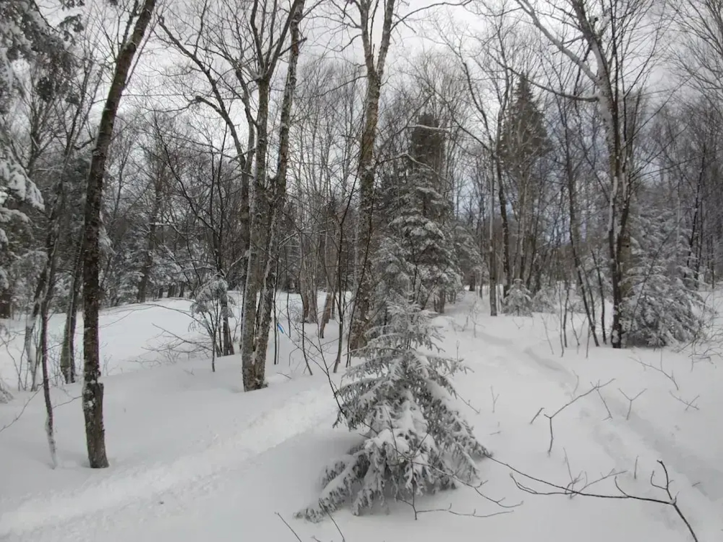 Bolton Condo 3 Bedroom Condo by RedAwning