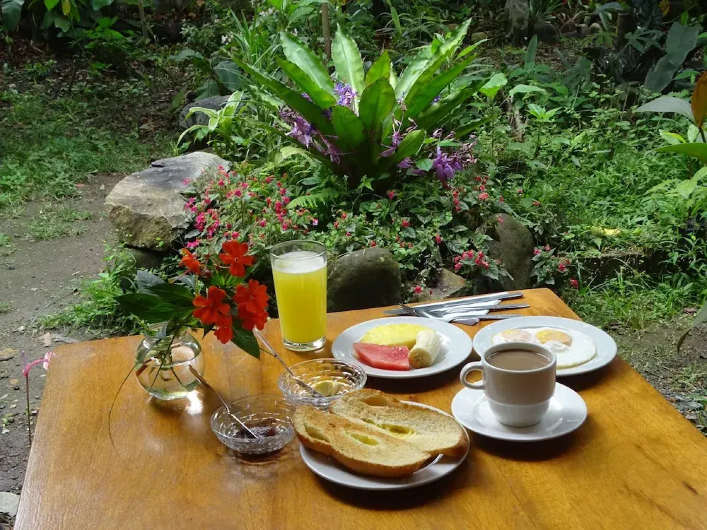 Cabañas Armonía y Jardín de Orquideas