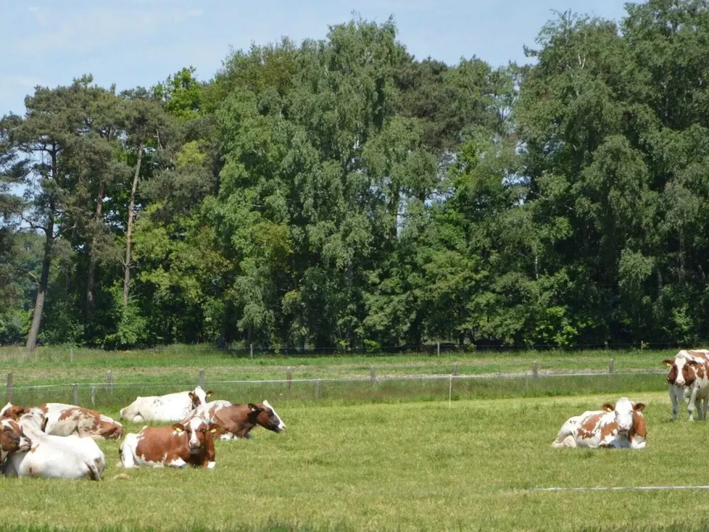 Serene Holiday Home in Haaksbergen with Garden