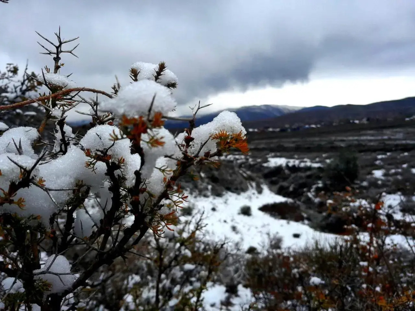 Complejo Rincon De Potrerillos