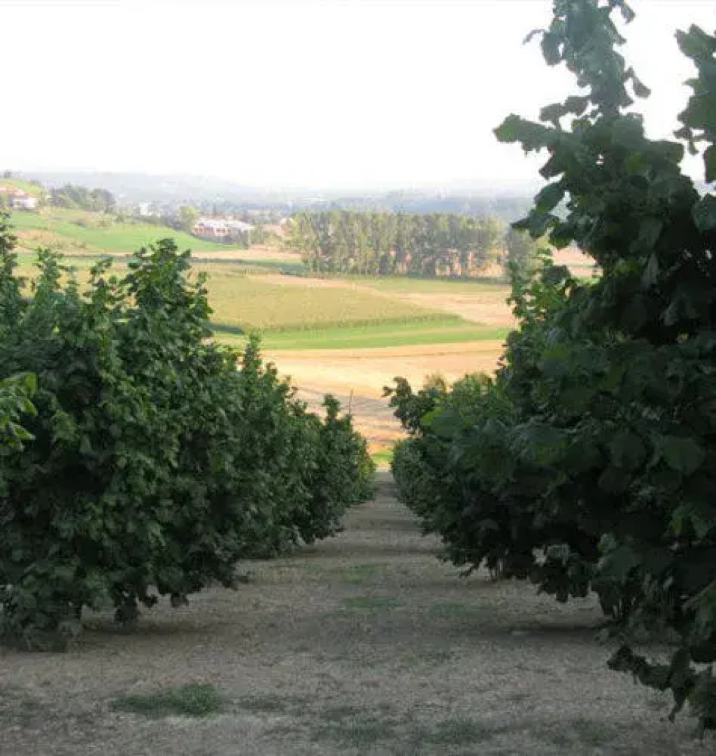 La Locanda Del Nocciolo