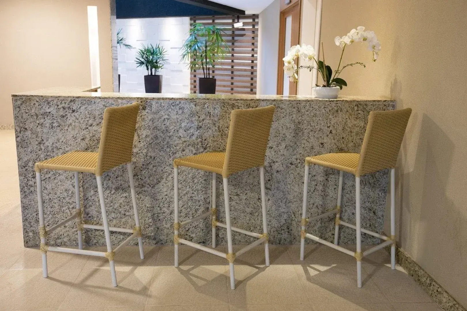 Hplus Vision Executive