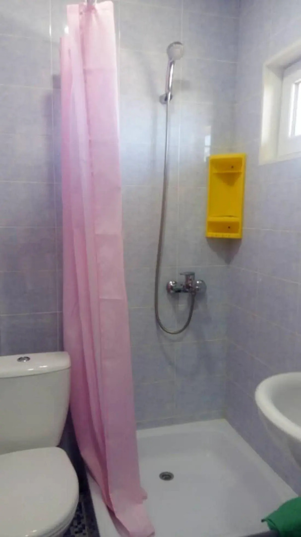 Два абрикоса