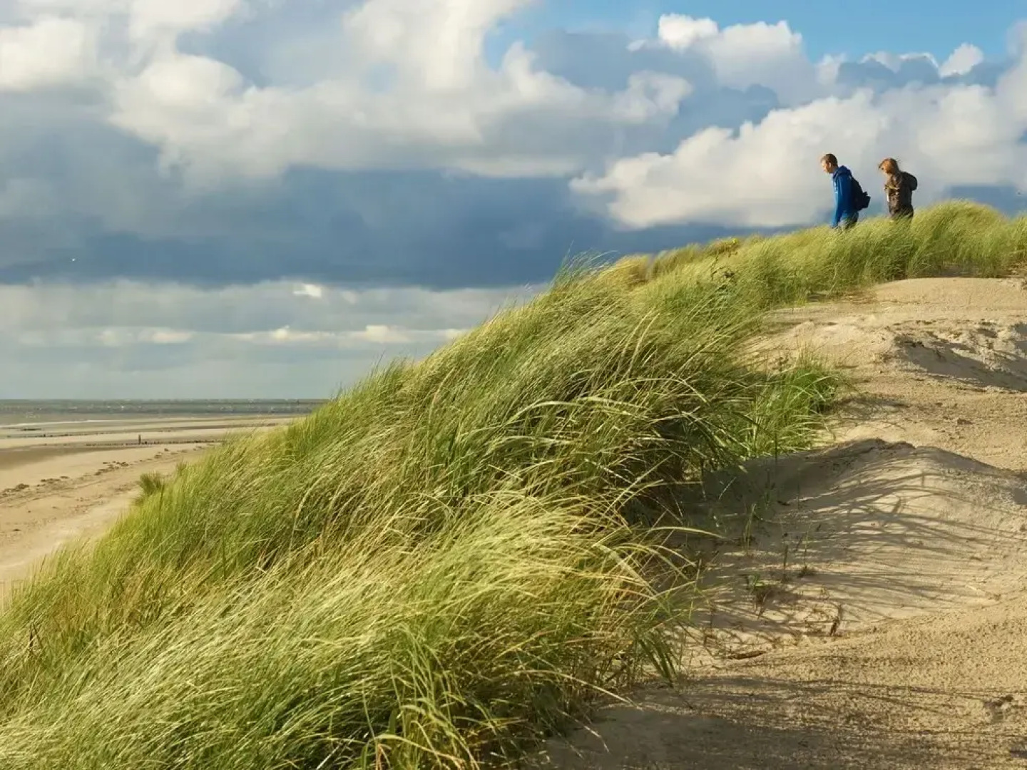 Lovely Holiday Home in Alkmaar With Private Terrace