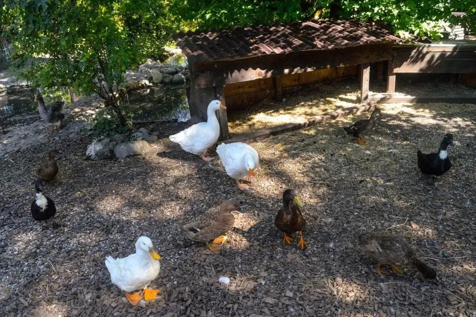 LErmitage de Bernard Ravet