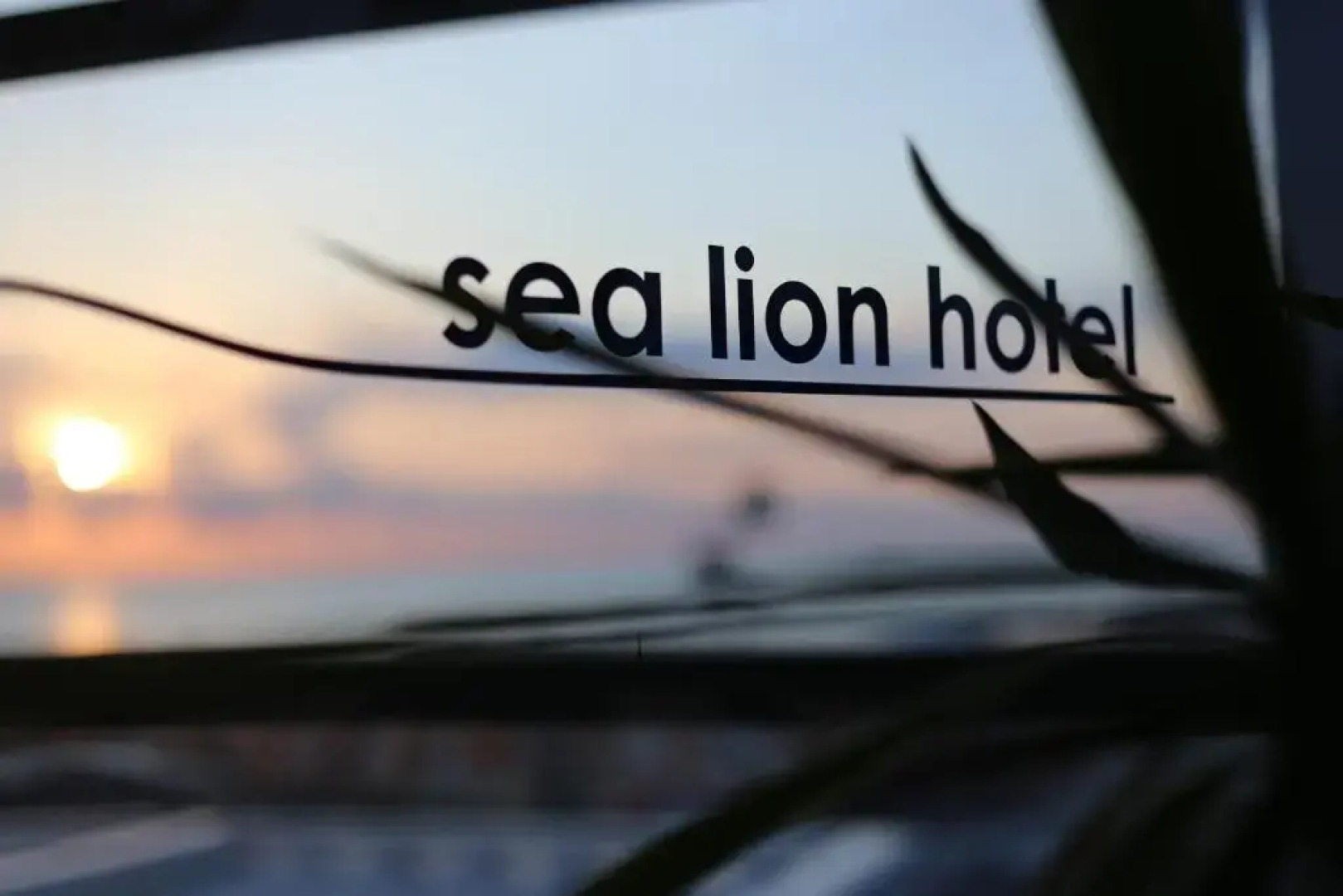 Sea Lion Hotel