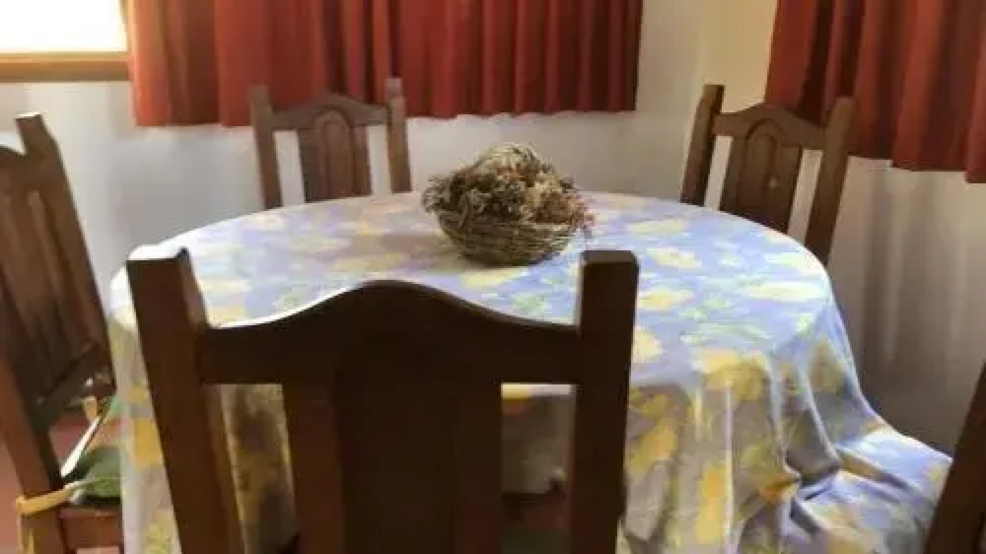 Los Molinos Hotel & Resort