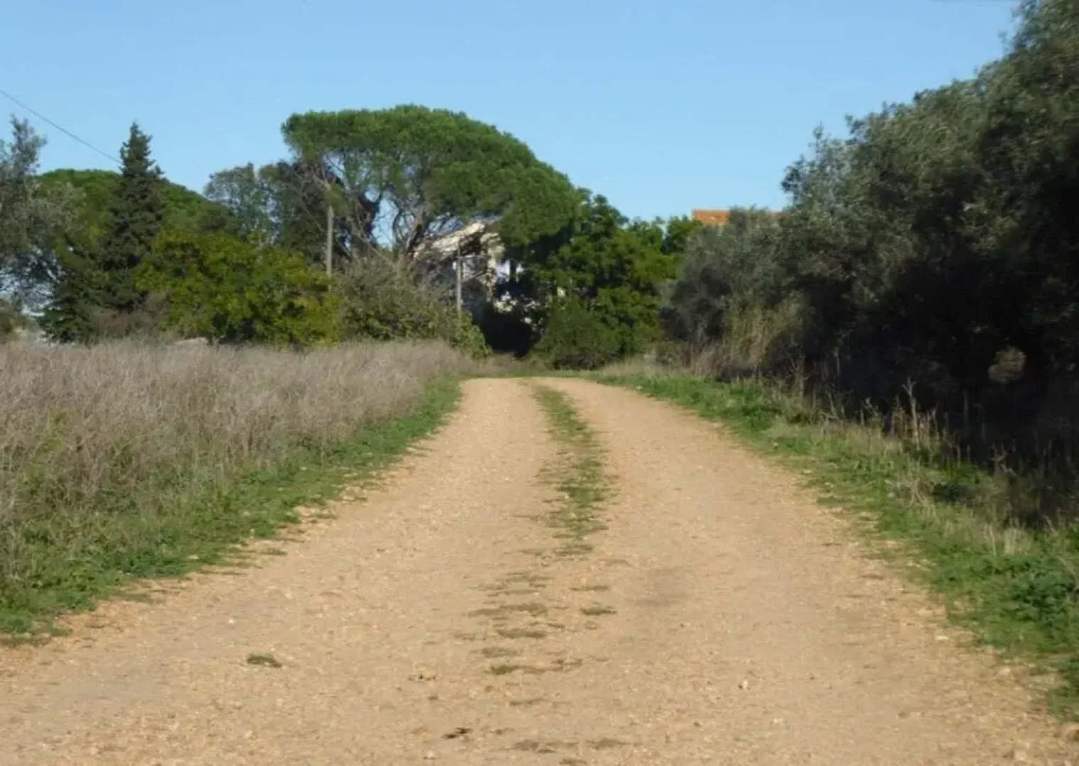 Maisons entières dans grand domaine