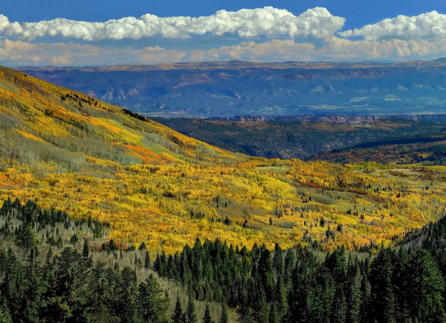 Homewood Suites by Hilton Moab