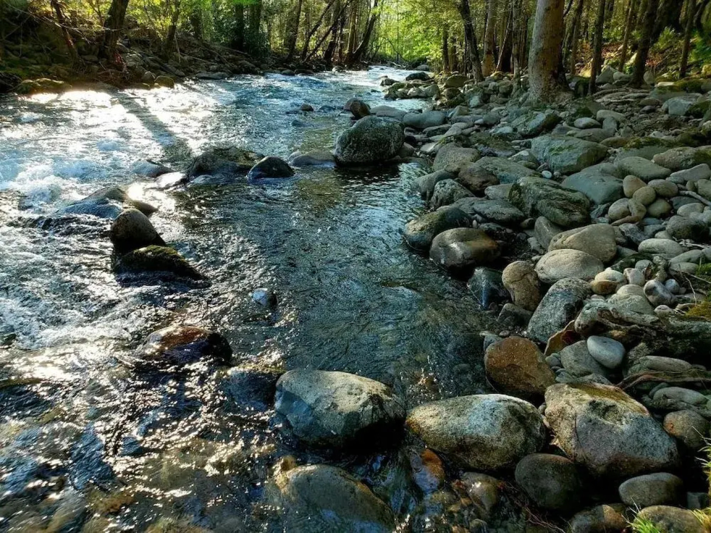 Elk Run On Cosby Creek - 2 Bedrooms, 2 Baths, Sleeps 7 Cabin by RedAwning