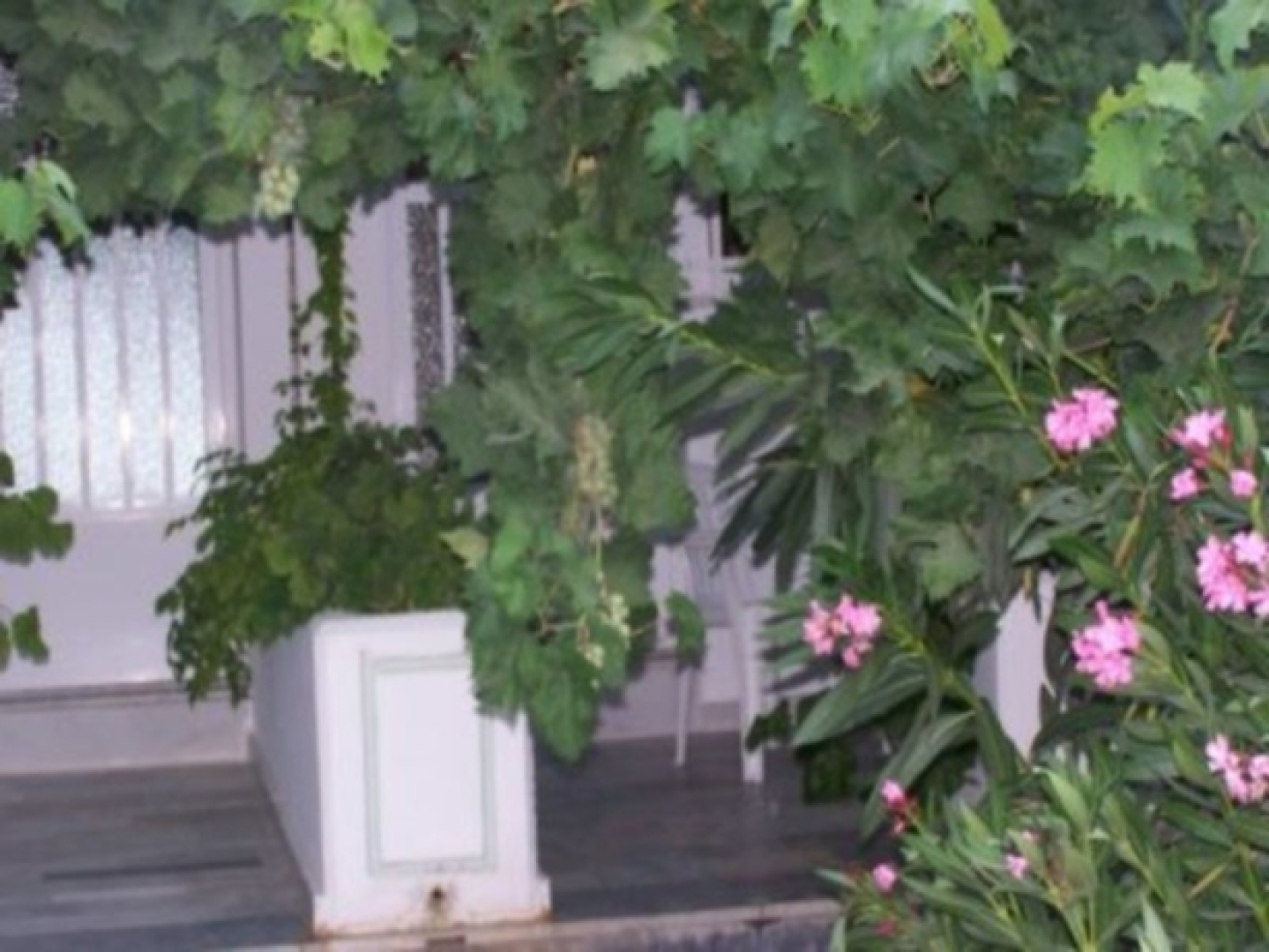 Philippos Studios & Apartments