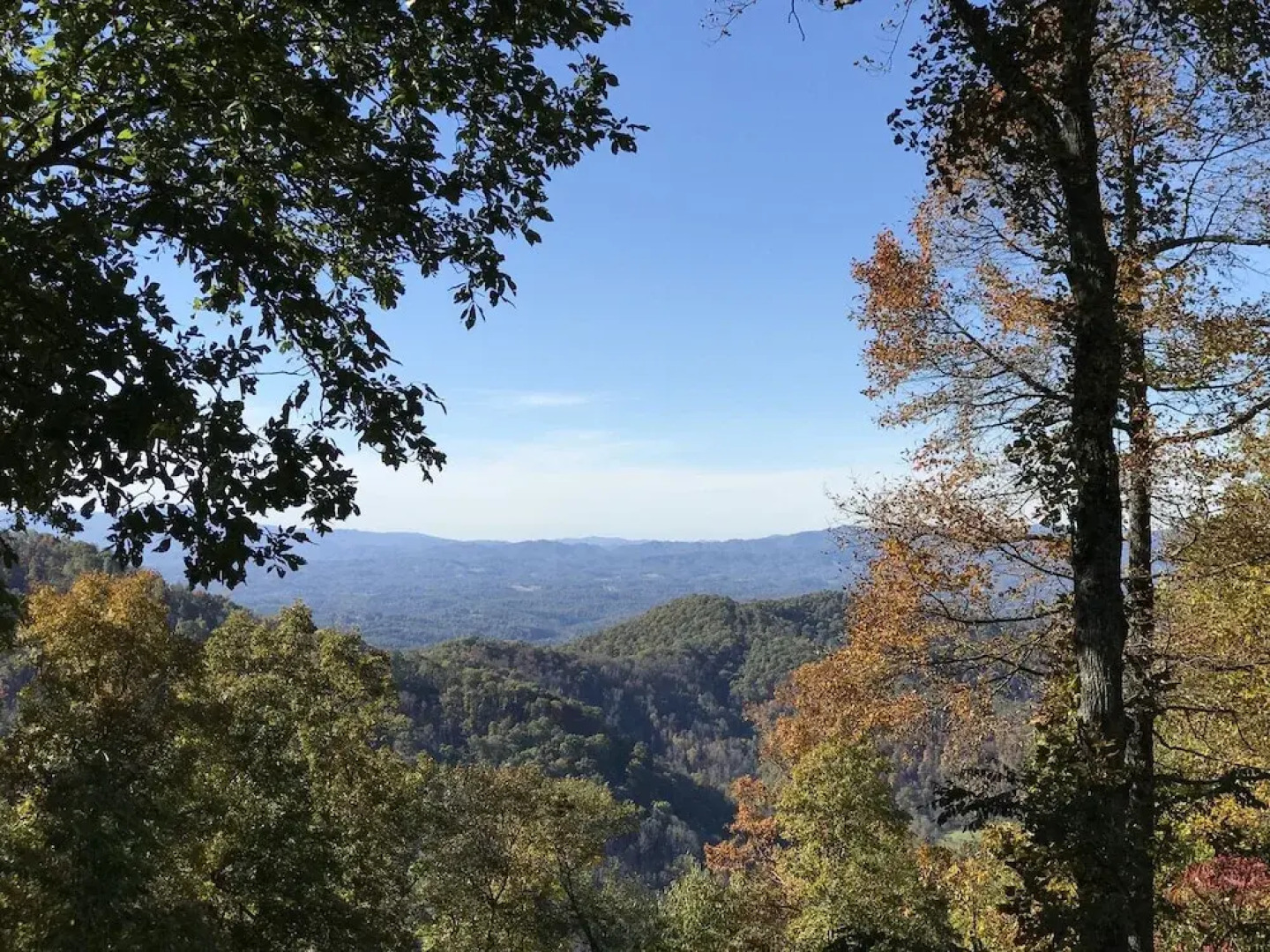 Wild Cat - 1 Br Cabin