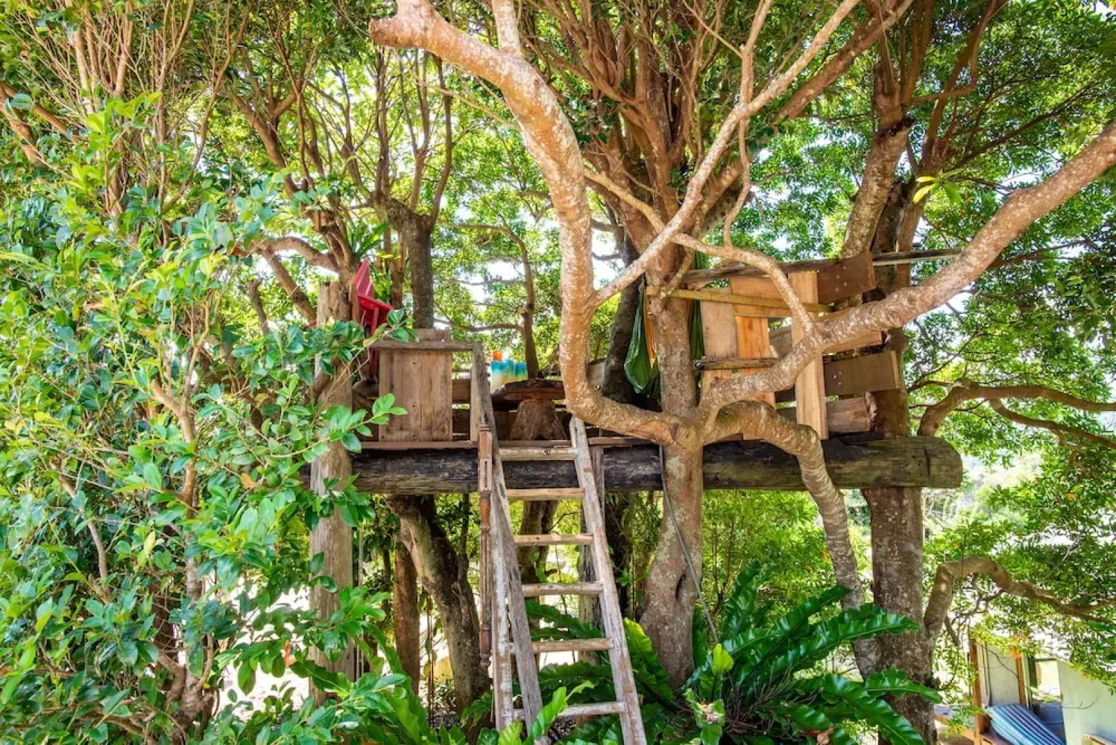 Nakijin Kominkanoyado Tsubameya