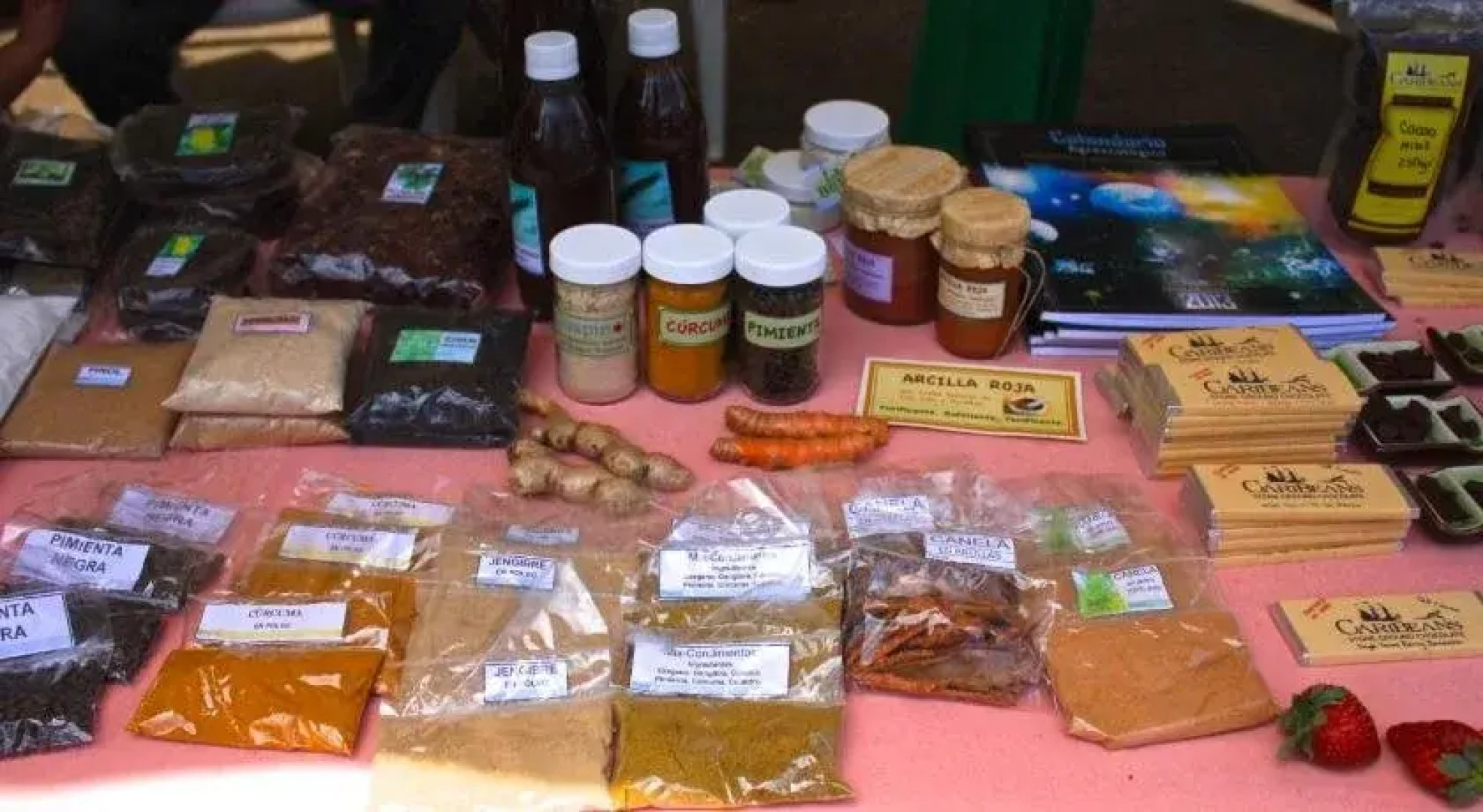 Hostel Casa del Parque