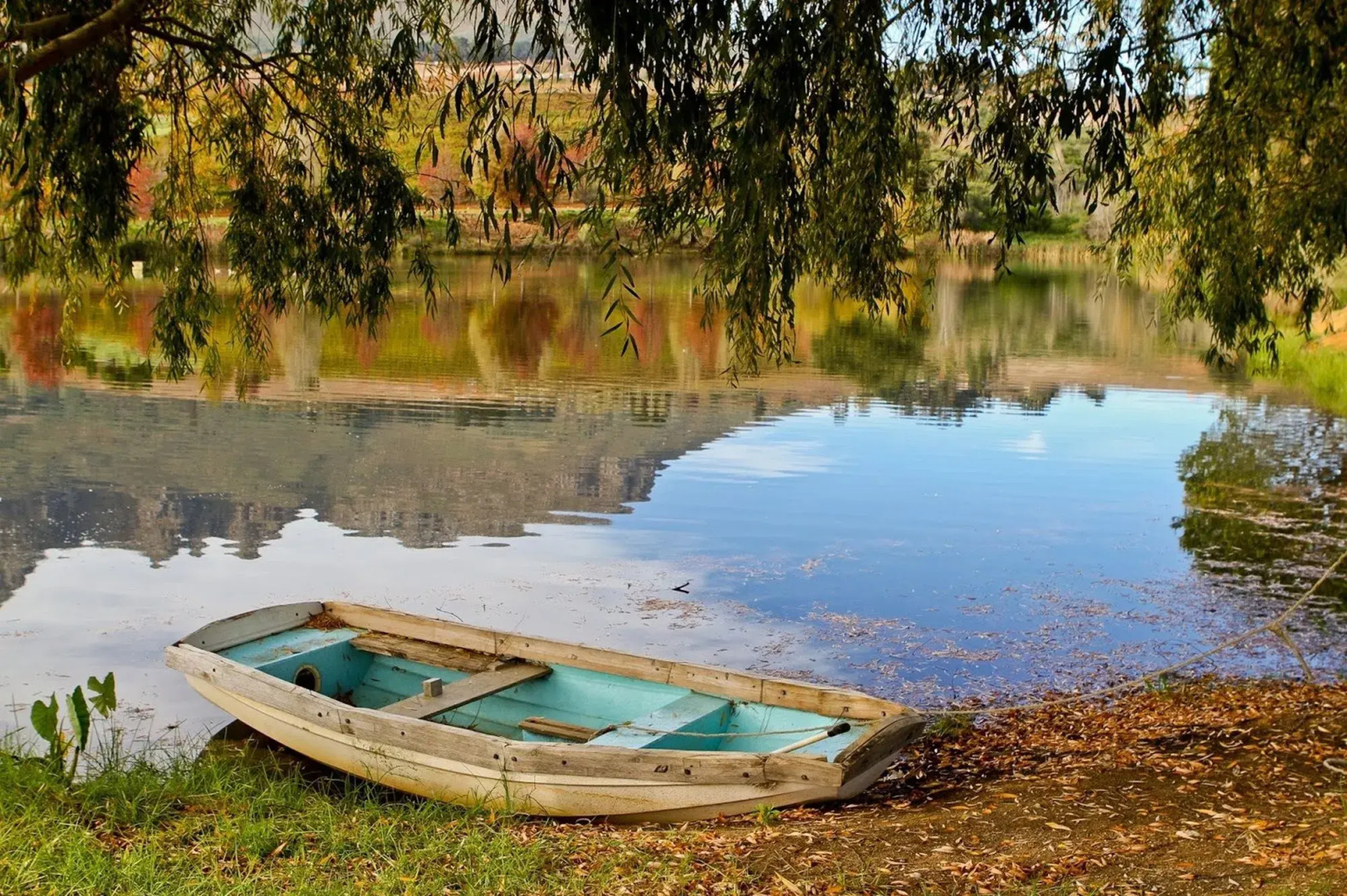 Webersburg Wine Estate