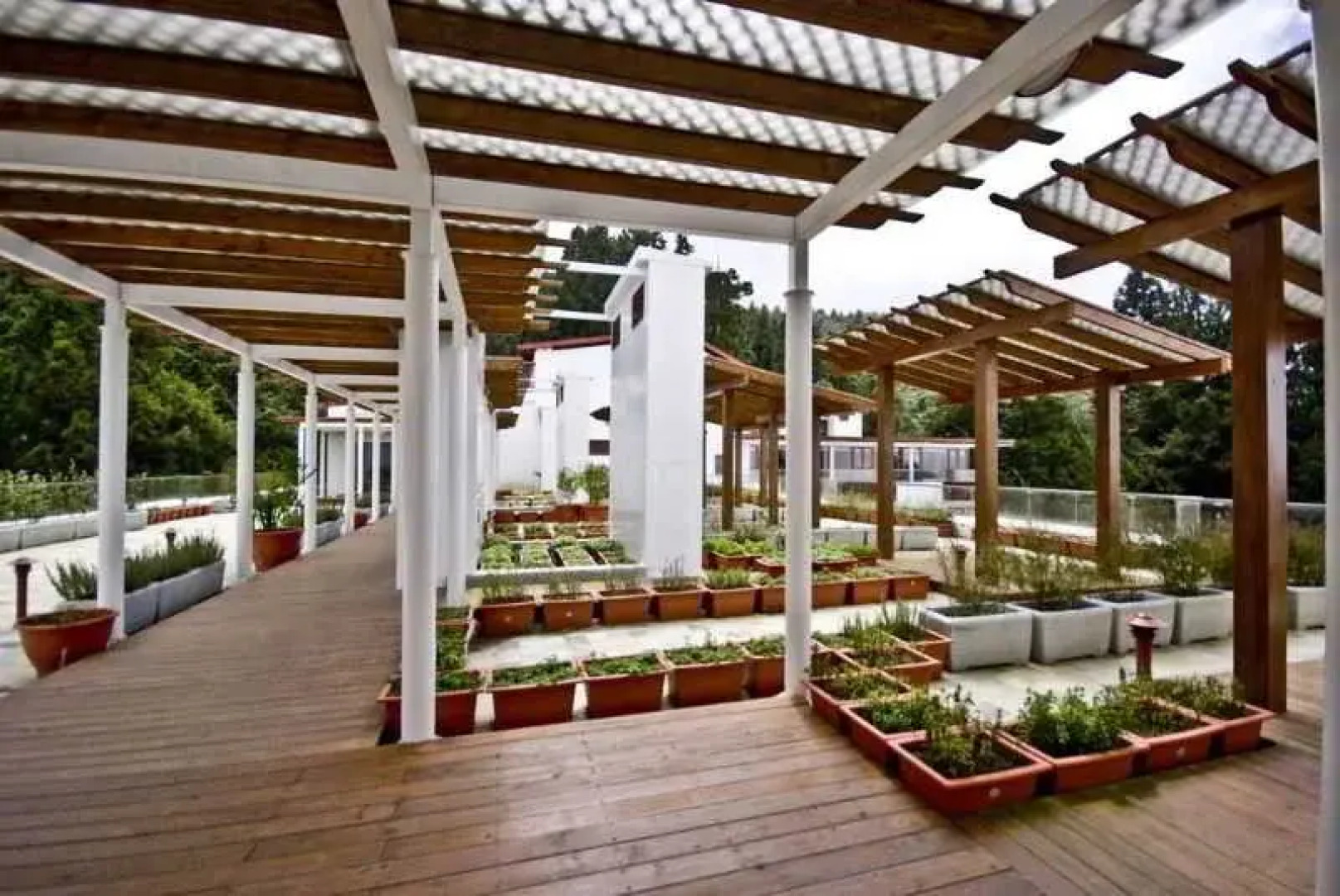 Alishan House - The Modern House