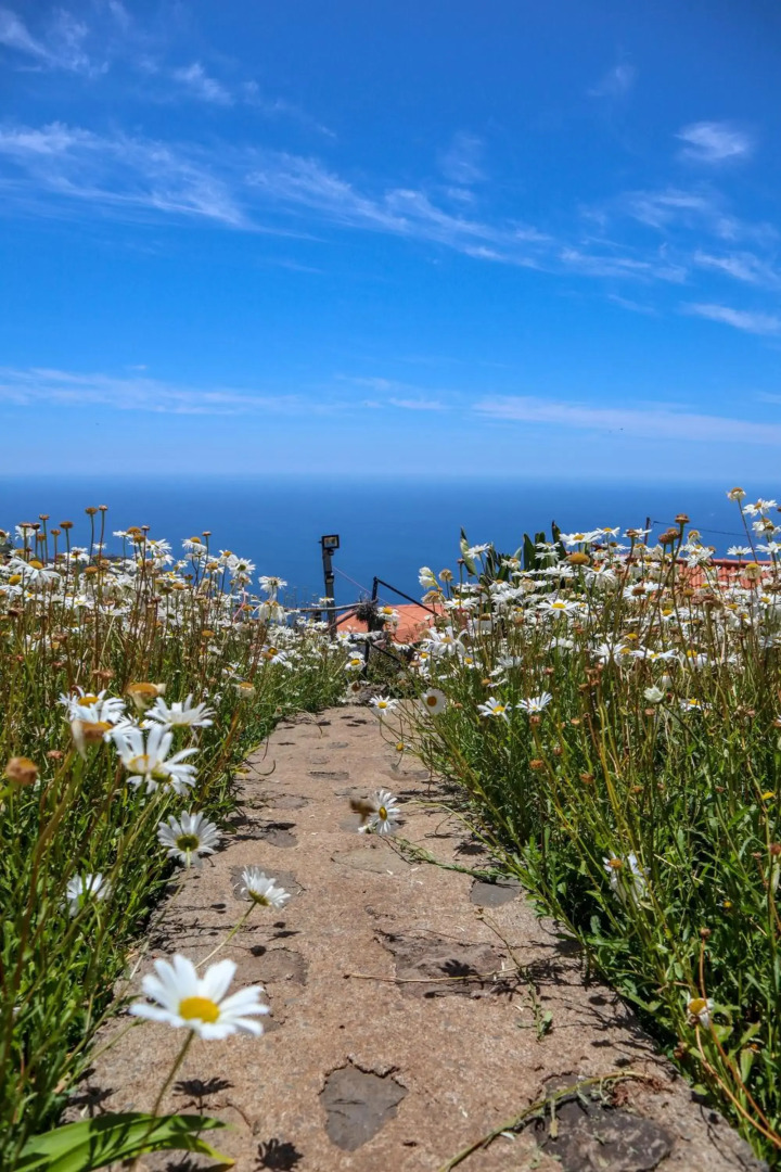 Casas Tipicas Candelaria Tabua