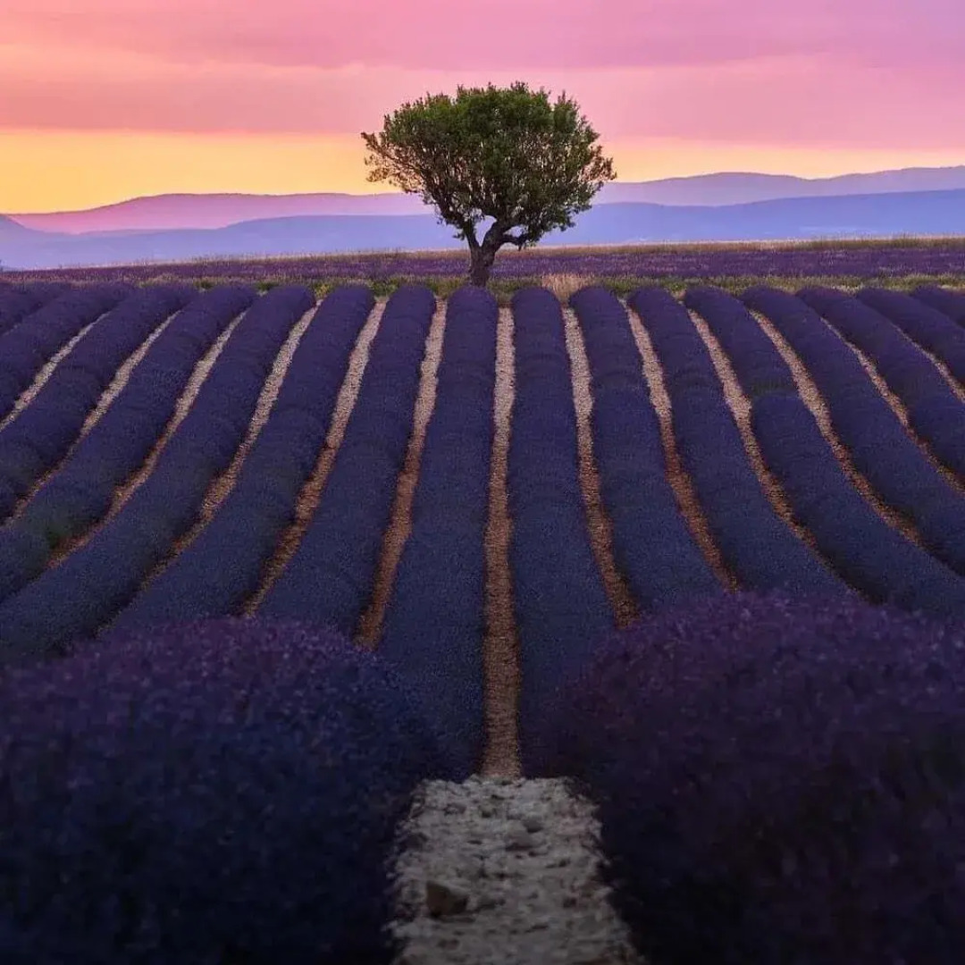 Chambre d'hôte Plages à 300 mètres
