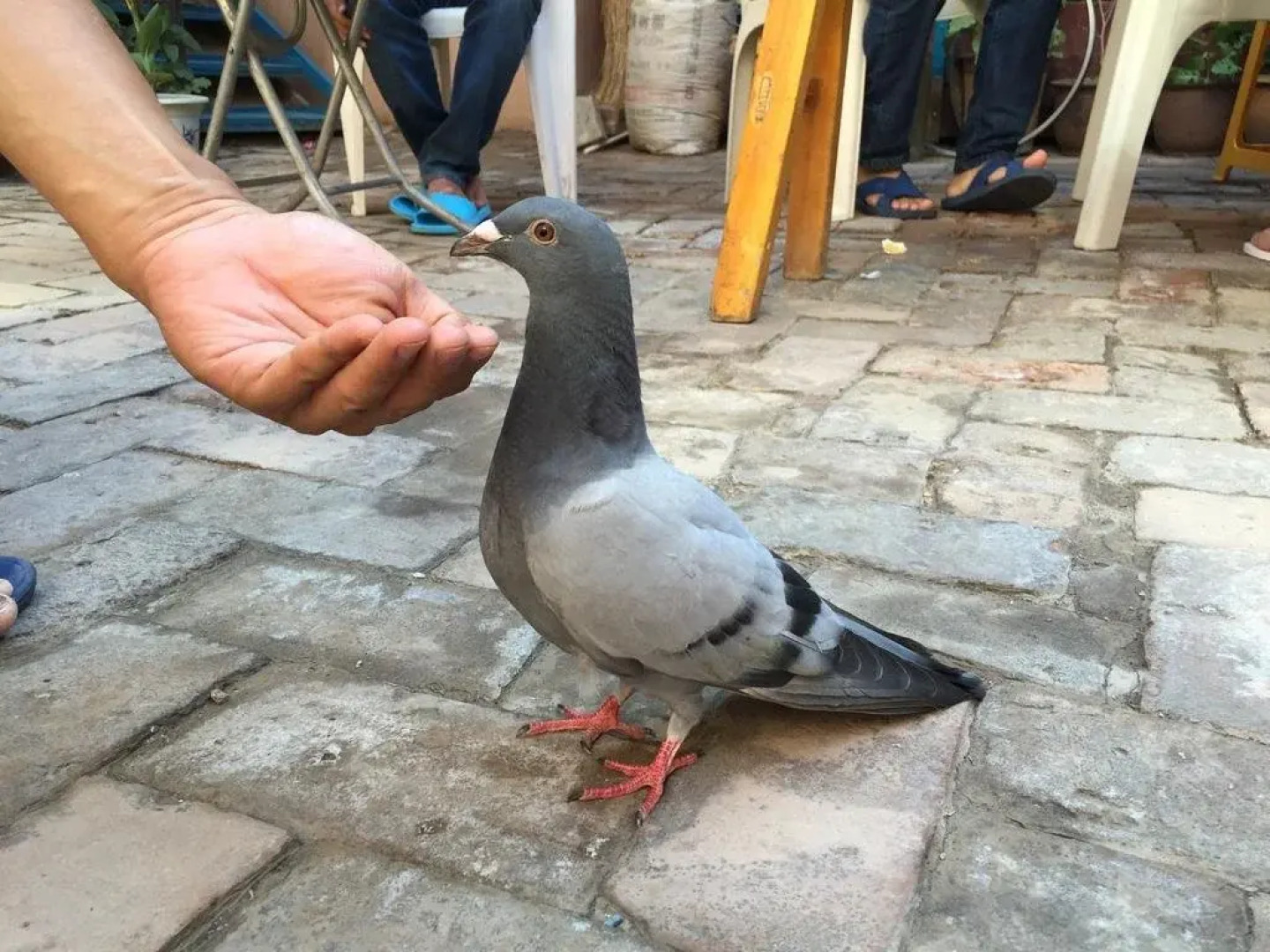 Kashgar Old Town Youth Hostel