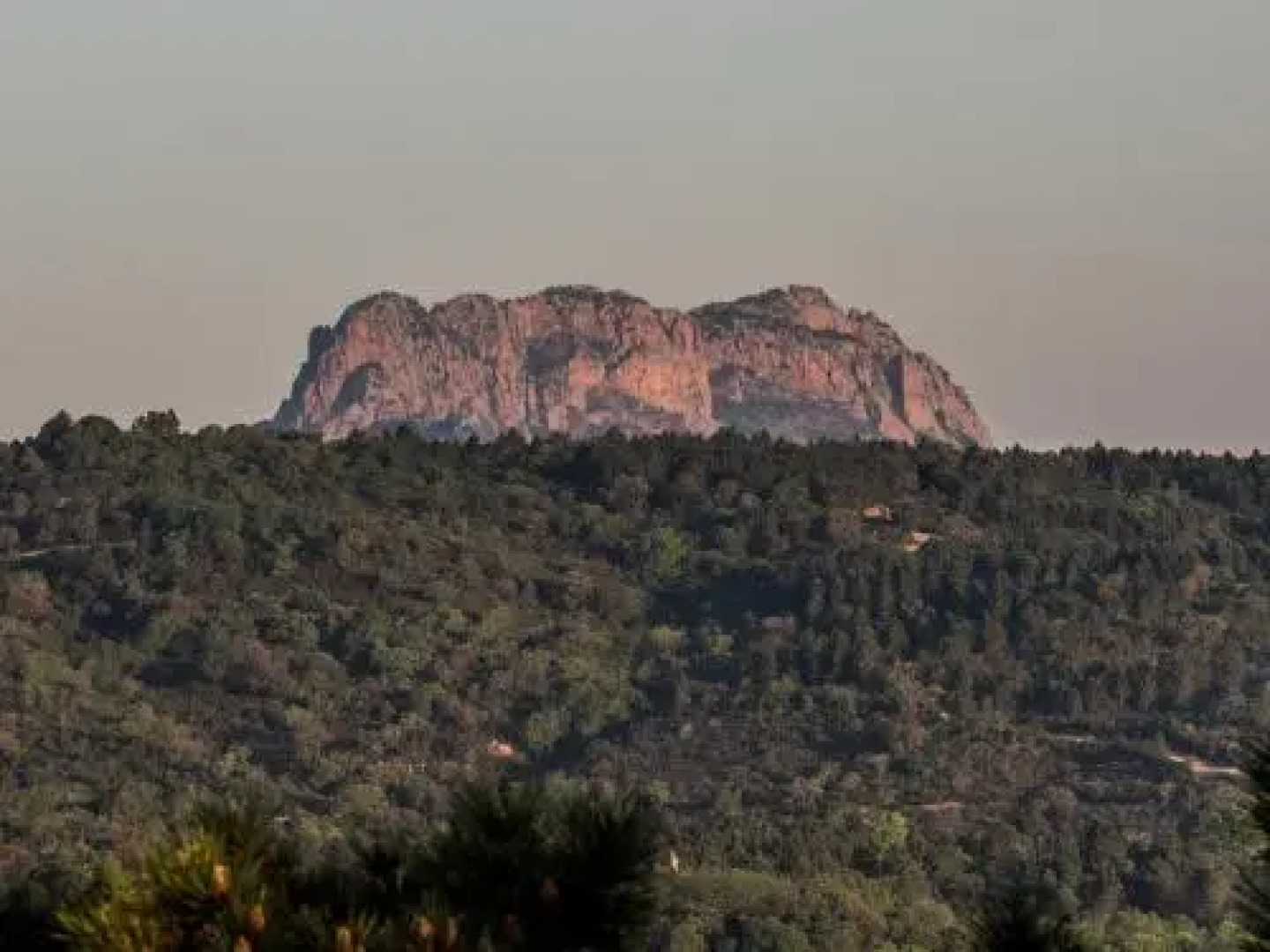 Les Quatre Mousquetaires