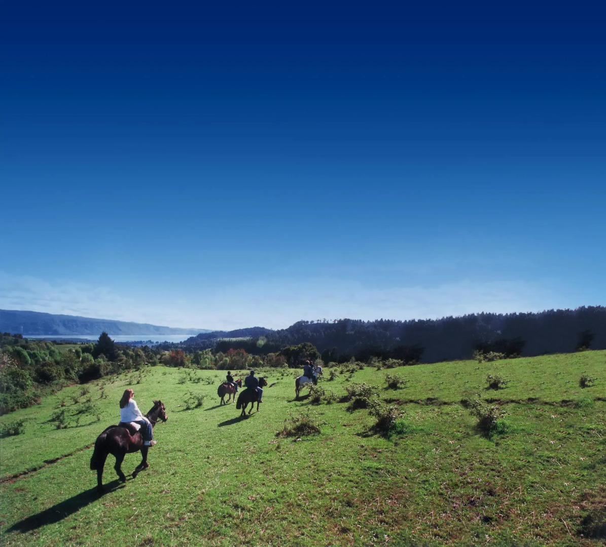 Termas Puyehue Wellness & Spa Resort