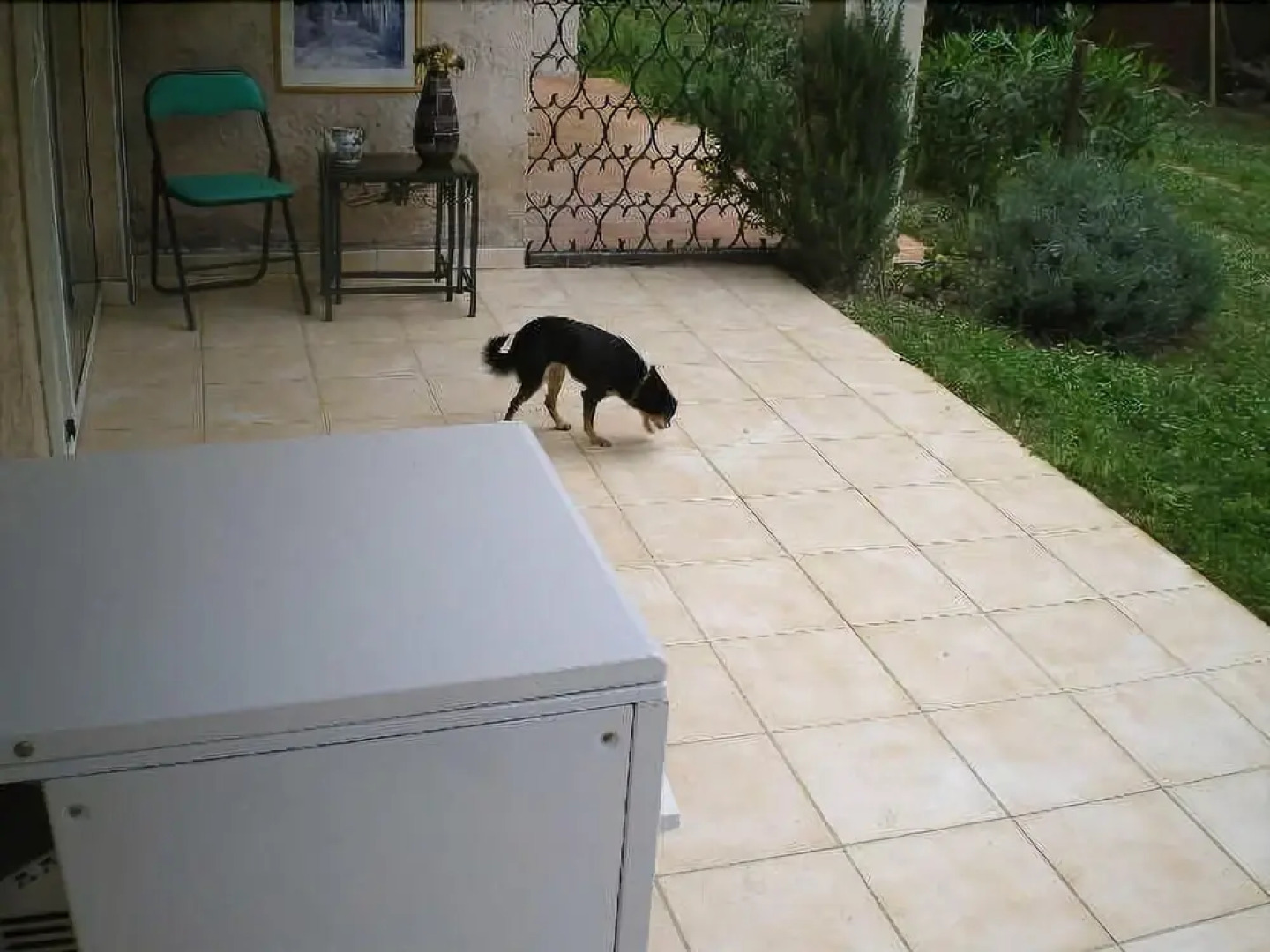 Studio rez-de-jardin Le Pin