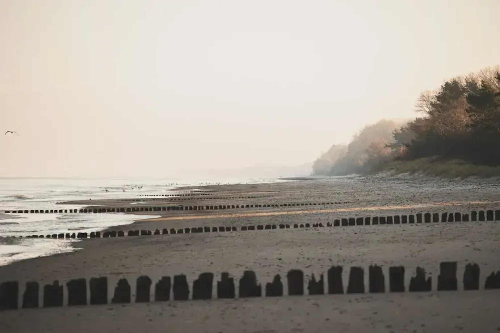 Seguro Widok na Morze Blisko pla y Gara