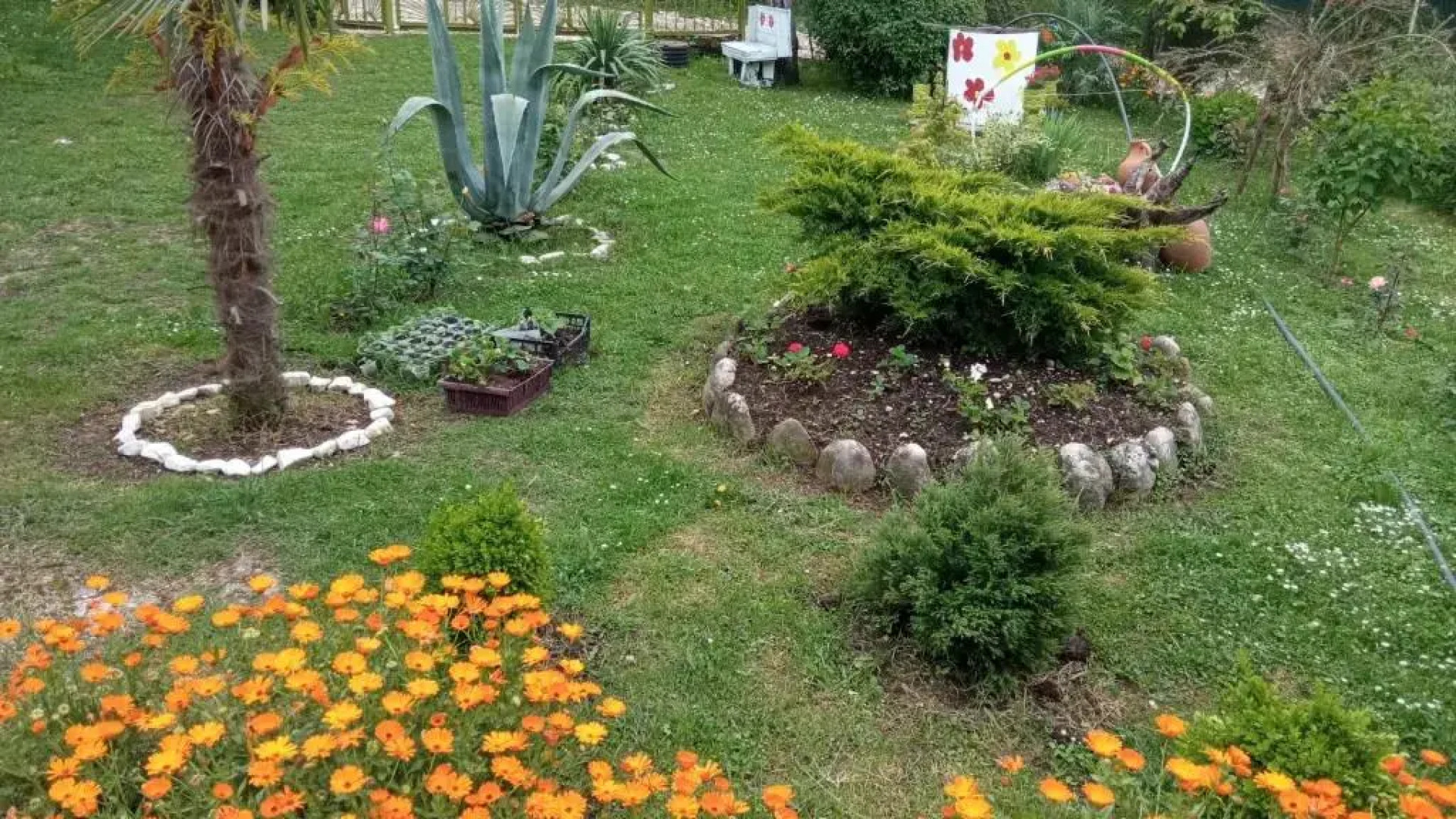 Guest House Nargo's garden