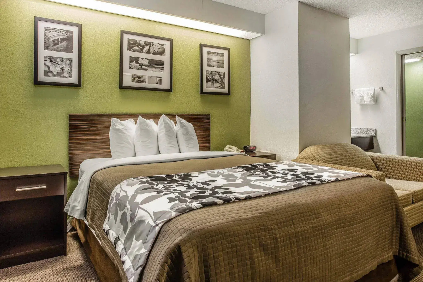 Sleep Inn at Greenville Convention Cente