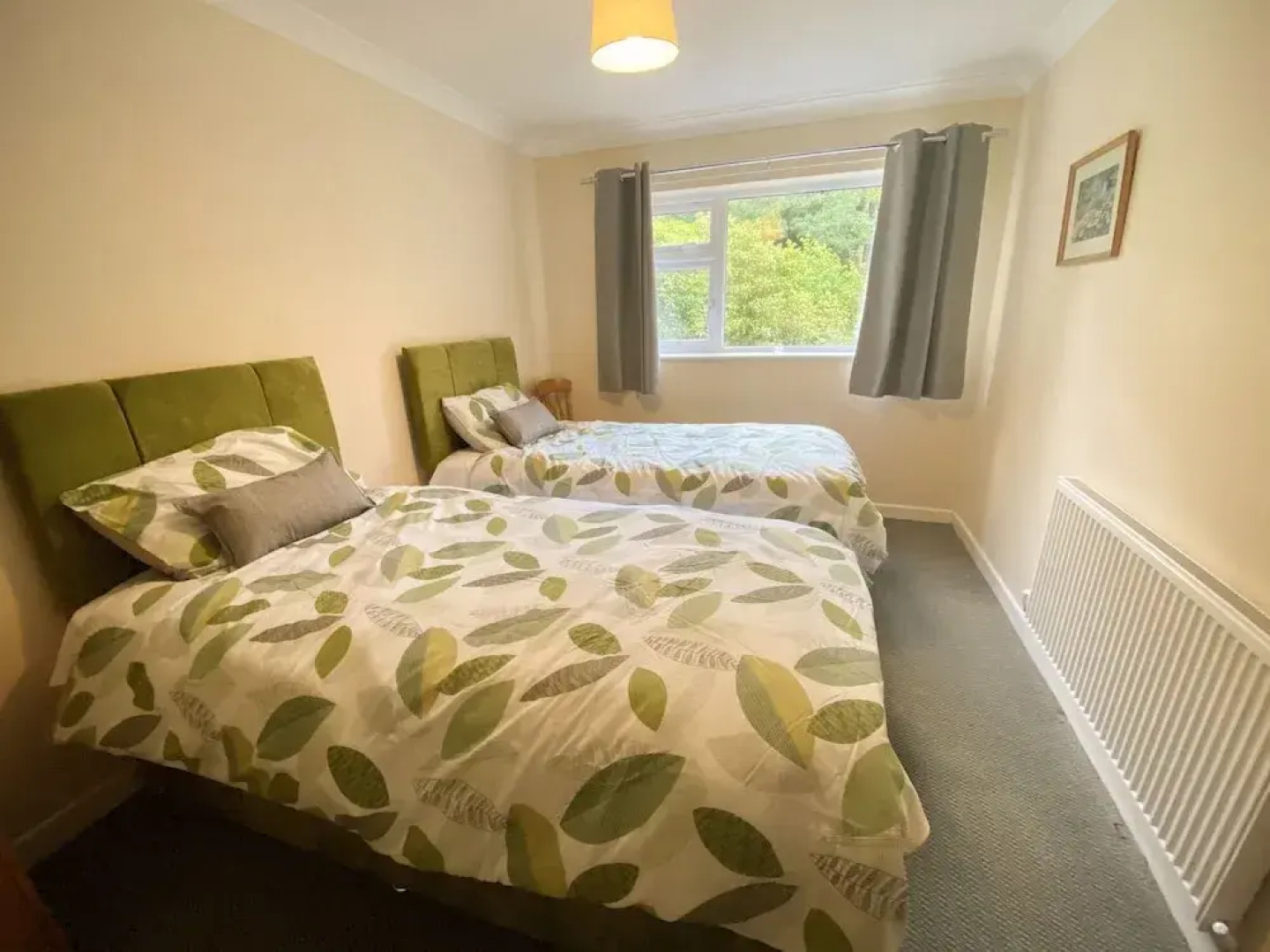 Broncoedwig Devil's Bridge