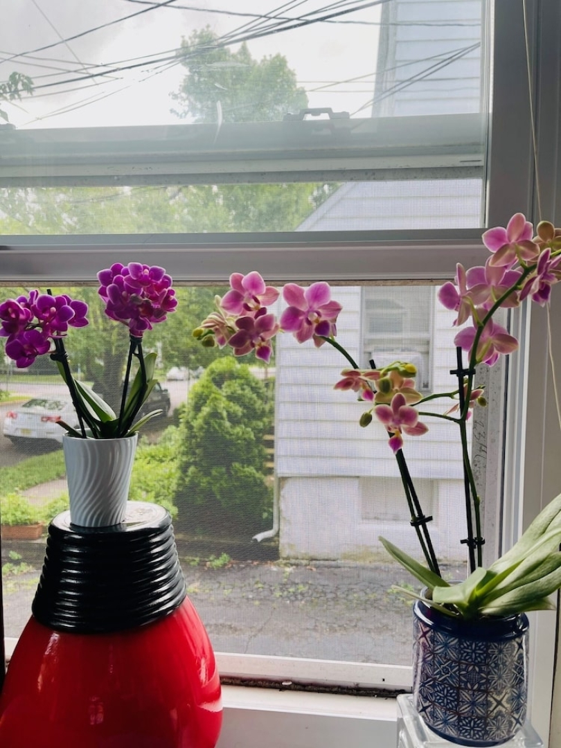 This location will make ur EYES Light UP