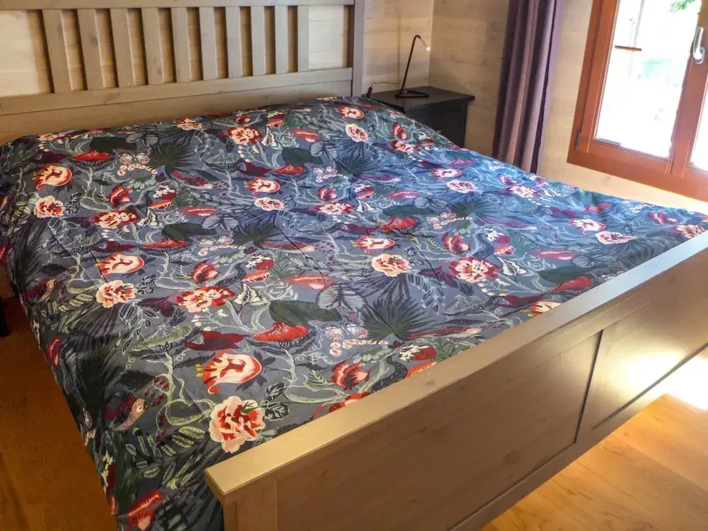 Chalet la Fr taz Bullet