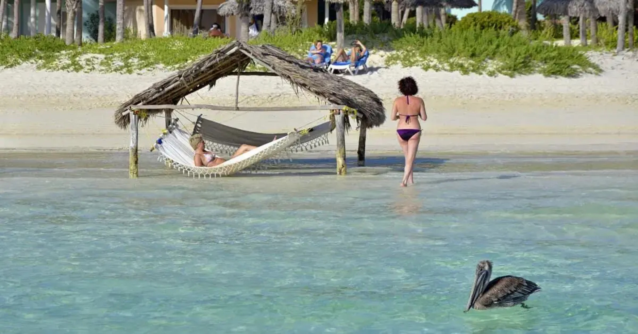 Melia Cayo Guillermo