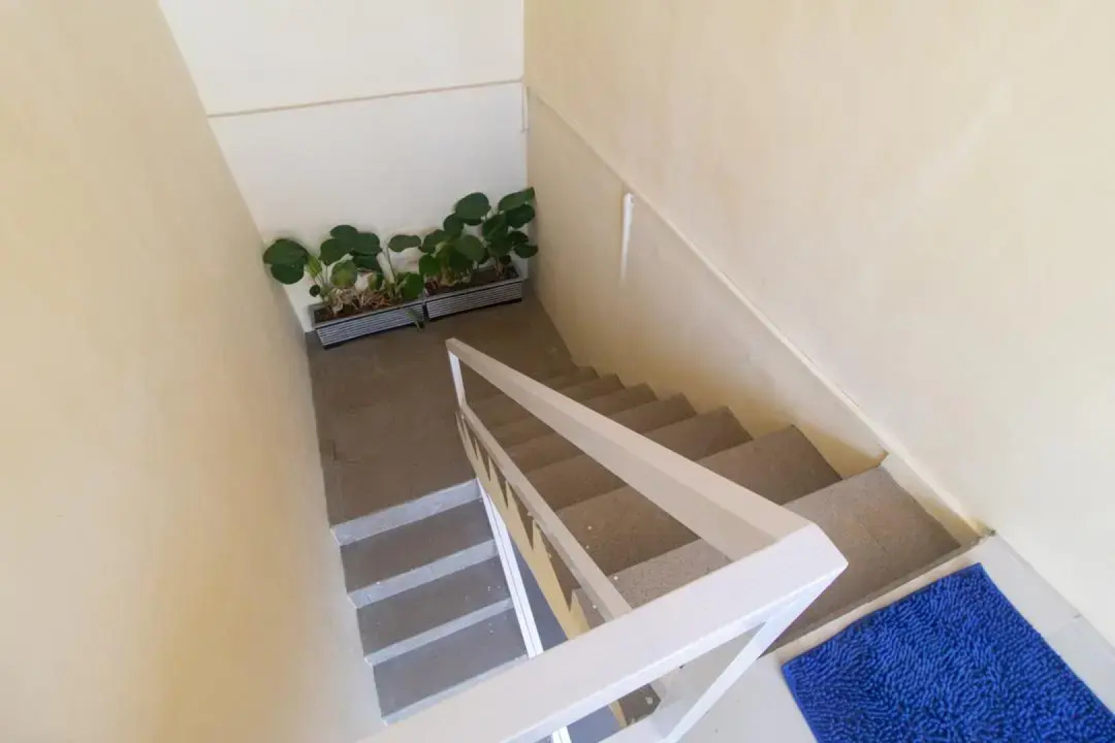 Sans Hotel Borobudur Banyuwangi