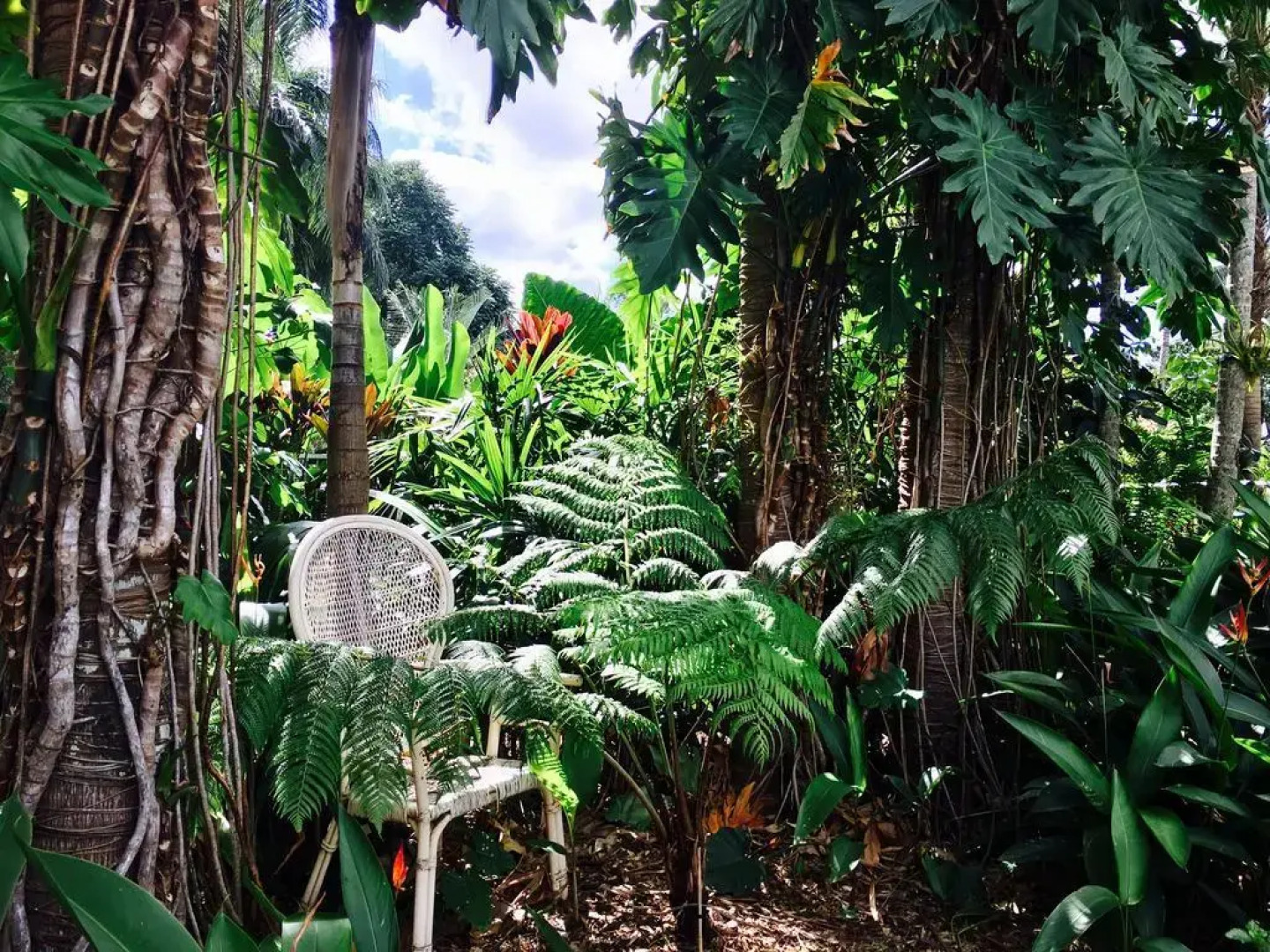 Jungara Bed And Breakfast