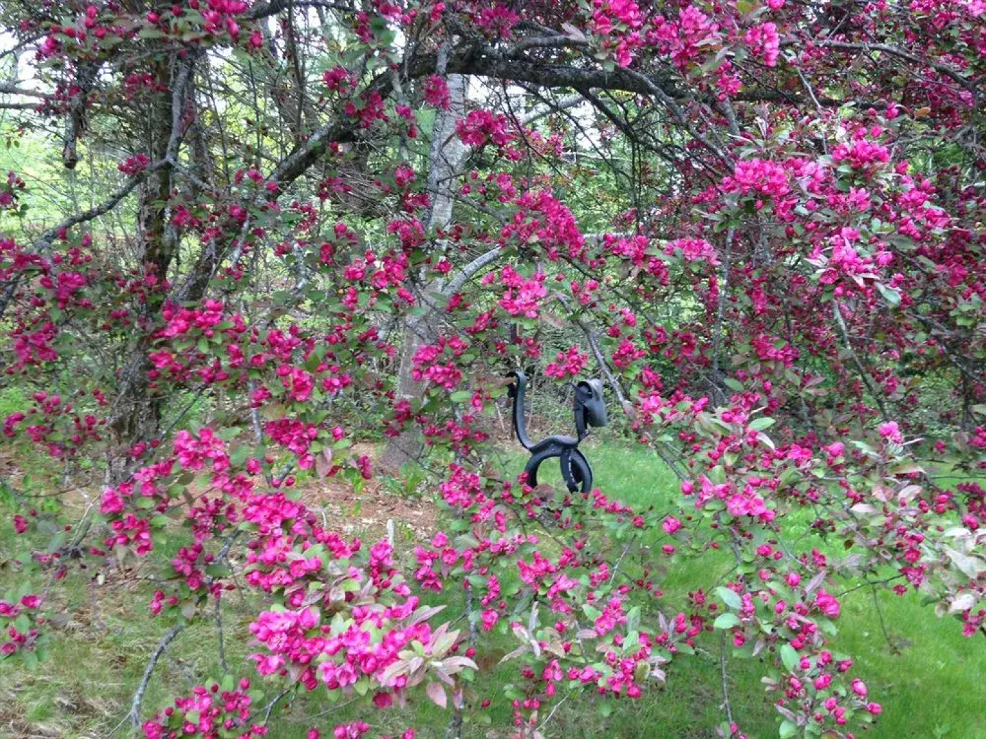 The Garden Bee Bed & Breakfast