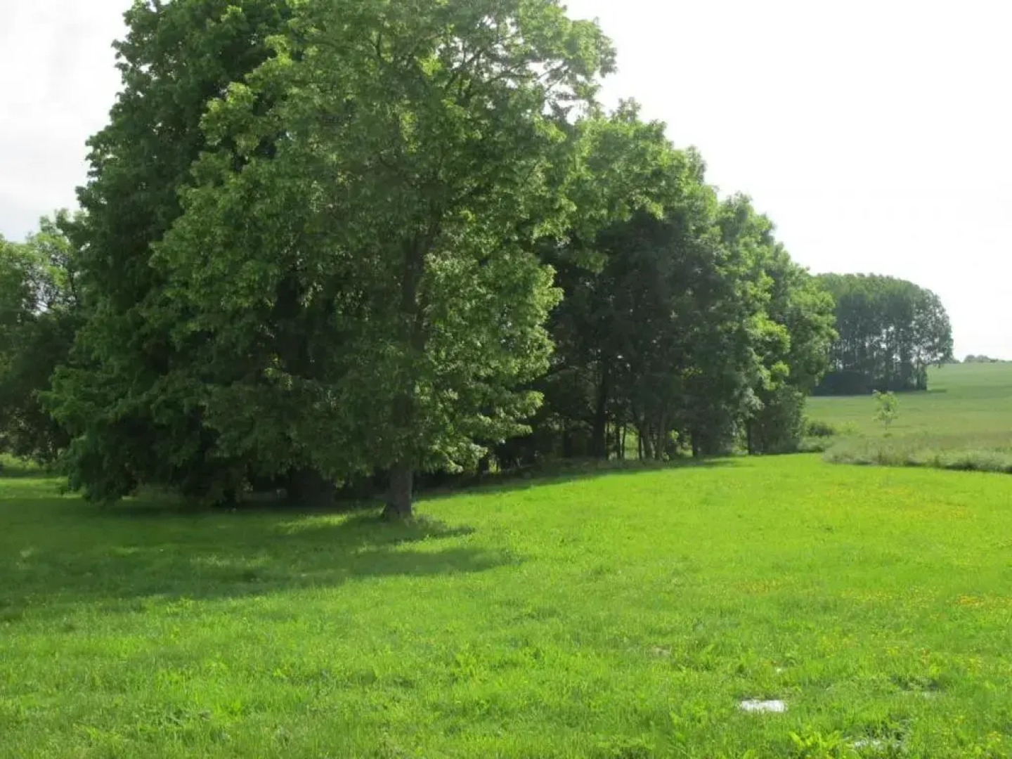 Gîte Cindré, 3 pièces, 4 personnes - FR-1-489-149