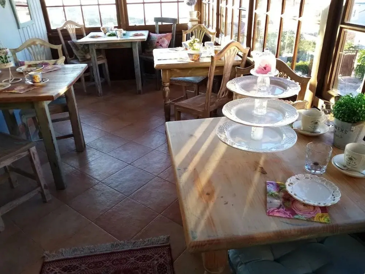 Ziggy's Mountain Retreat