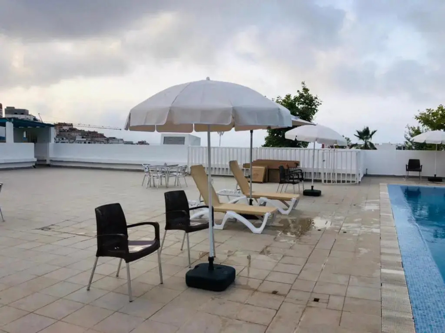 Lilia al jabal app. 16-8