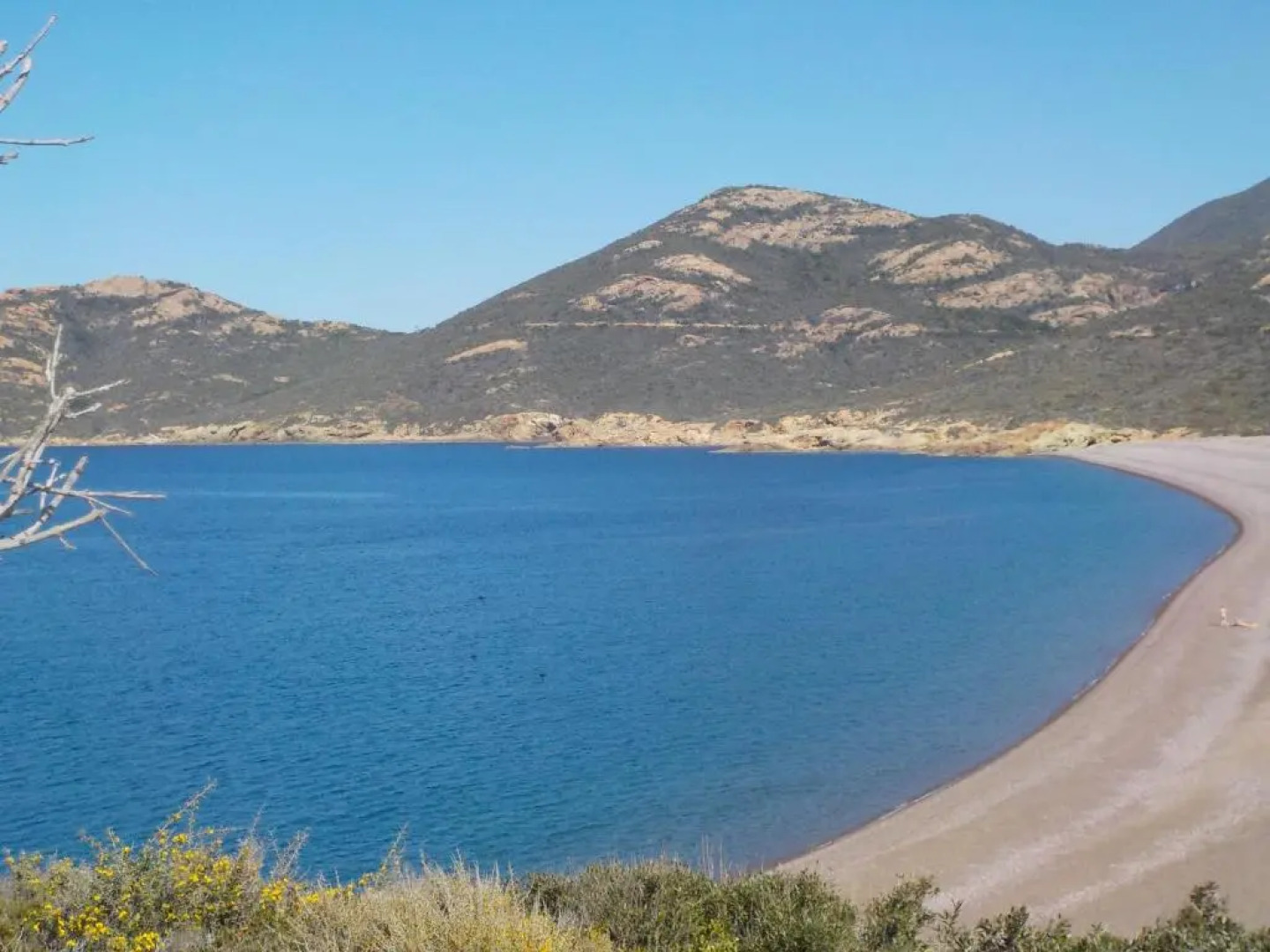 Appartements Candella