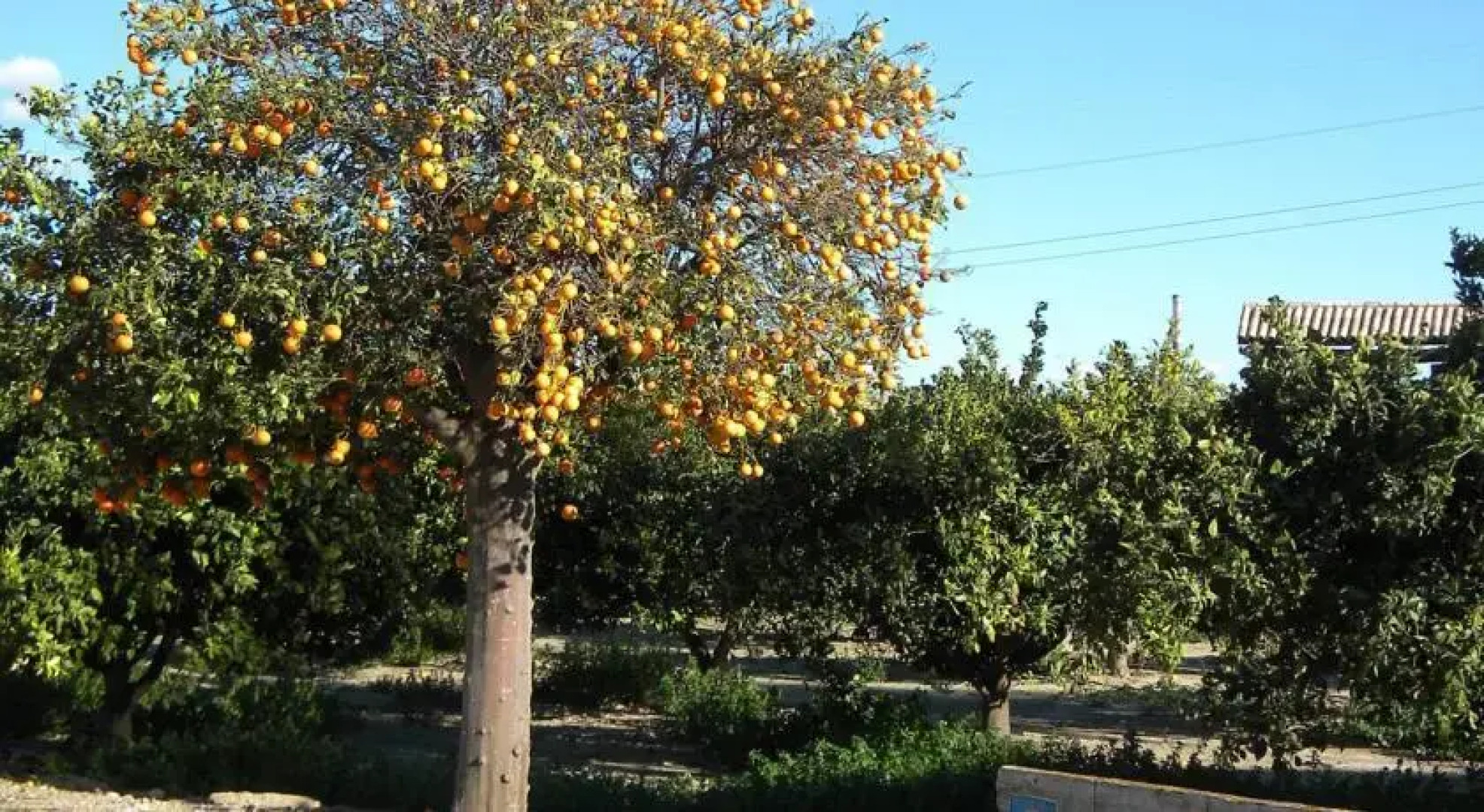 Holiday home Desert Springs