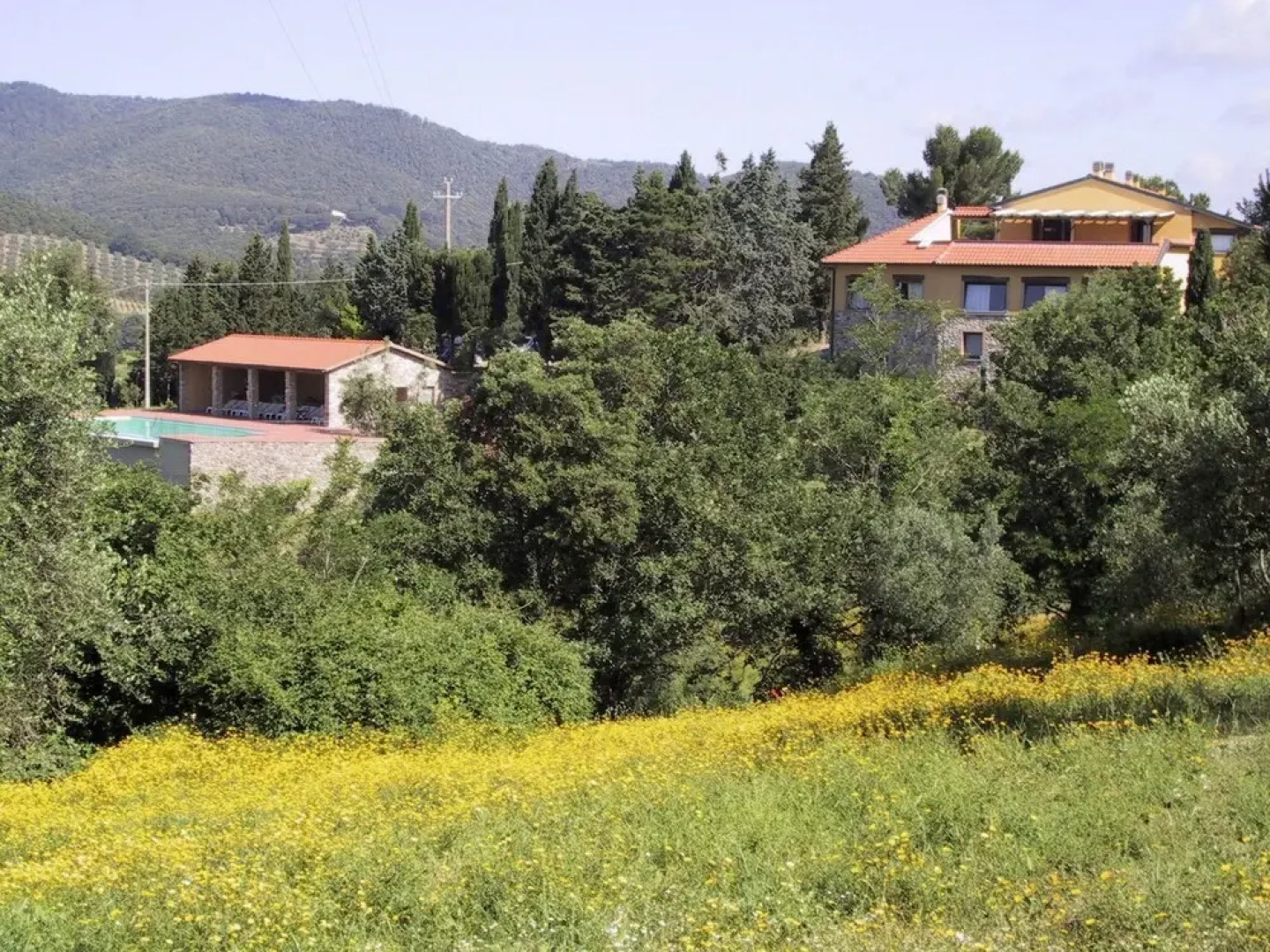 Cosy Apartment on Spacious Agriturismo, Near Beach and Culture