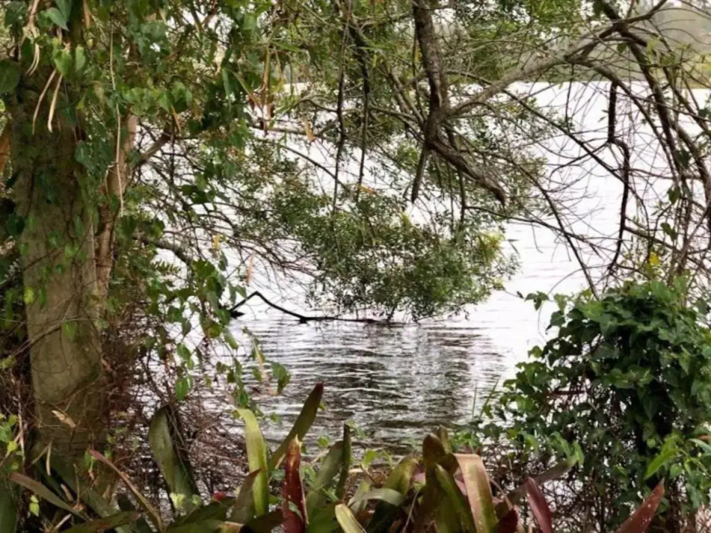 Engenho da Lagoa Pousada