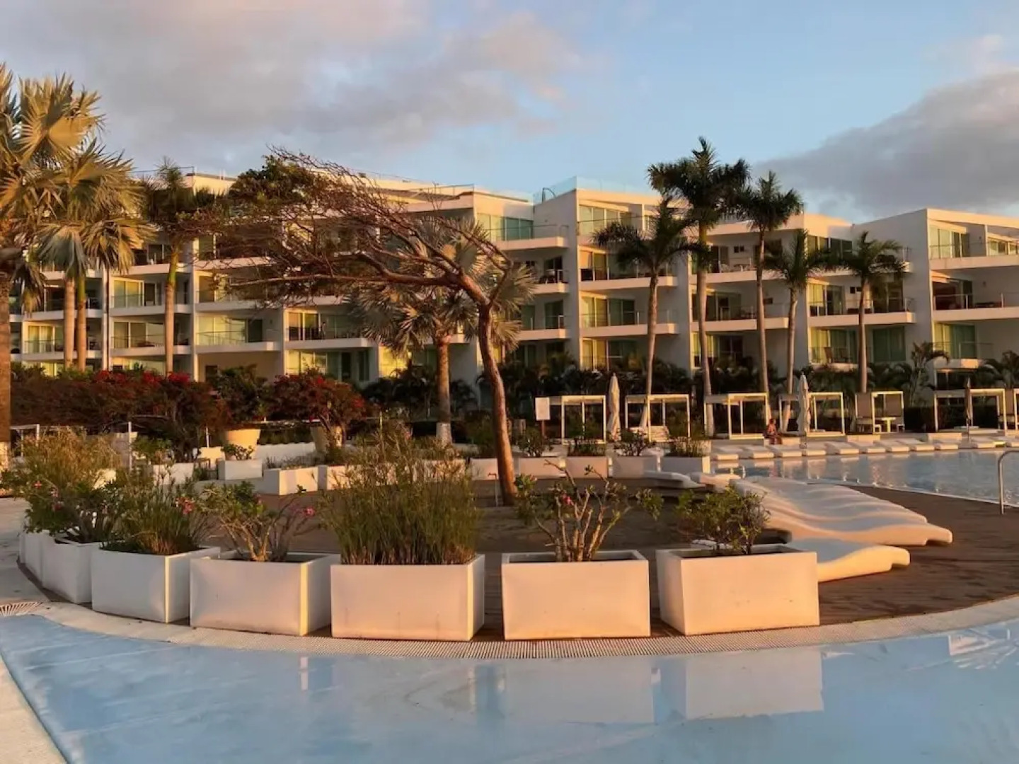 Aria Ocean 159 Flamingos