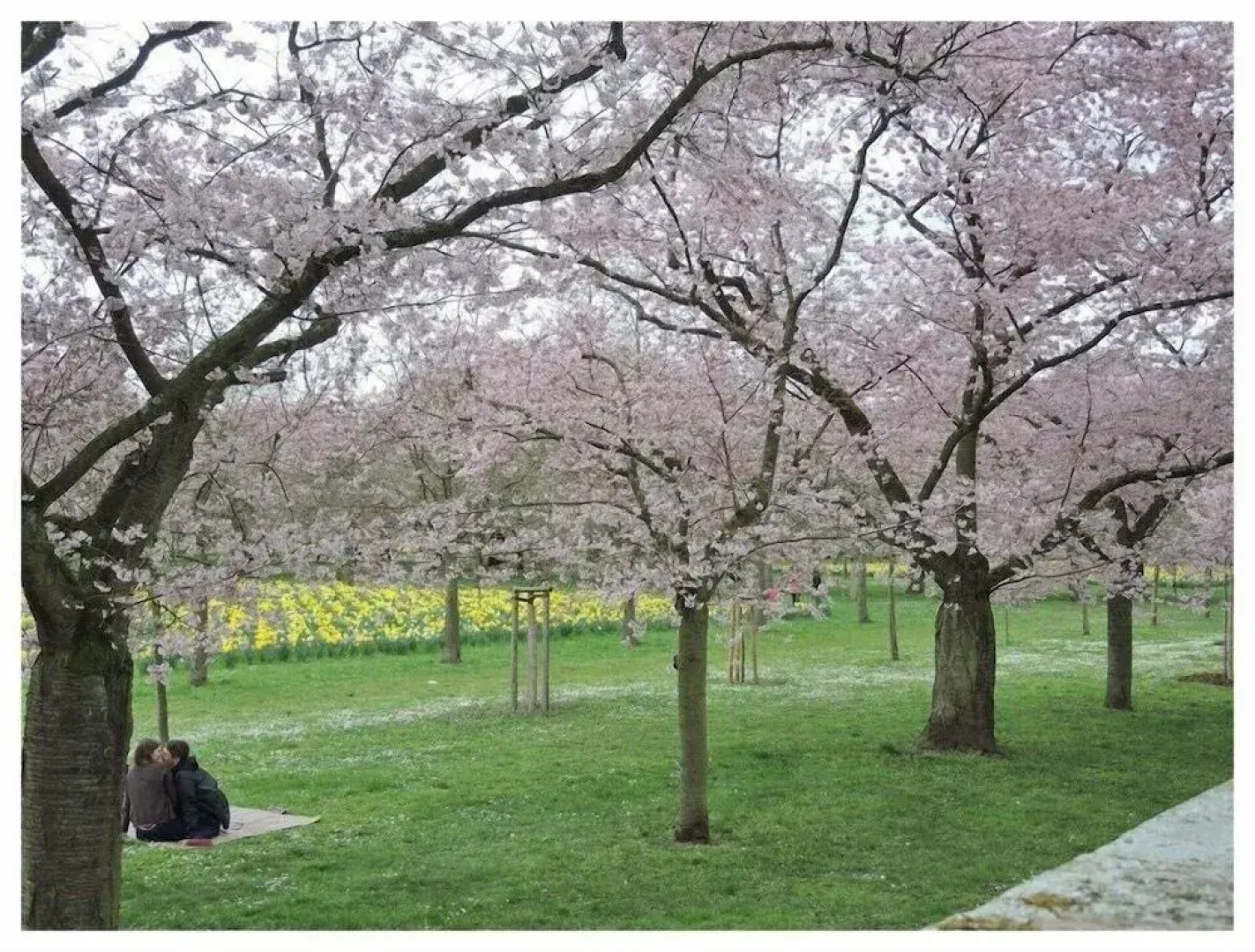Gästehaus am Schloss Schwetzingen