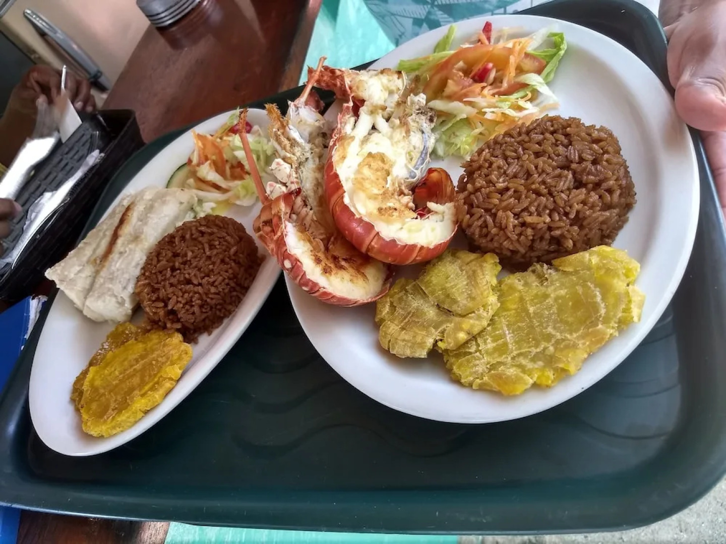 Eco Hotel Casa Lola - Hostel